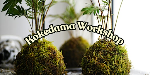 Kokedama Workshop | VI Plant Shop