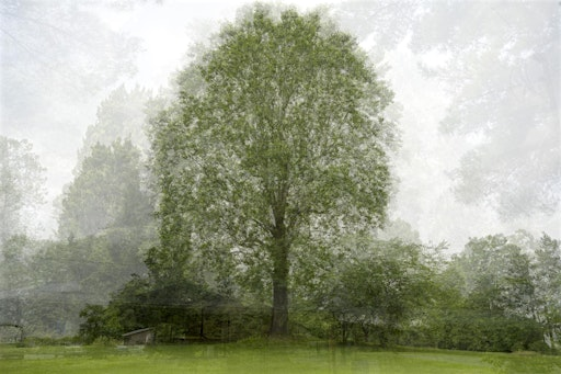 Capturing Crittenden: A Photography Hike | Lloyd Library & Museum