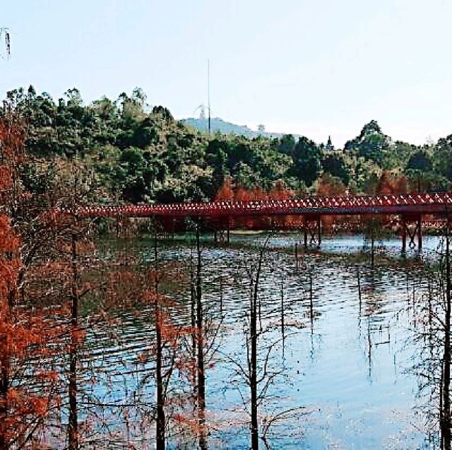 生態旅遊－東部華僑城