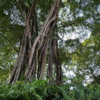 Fort Canning Park