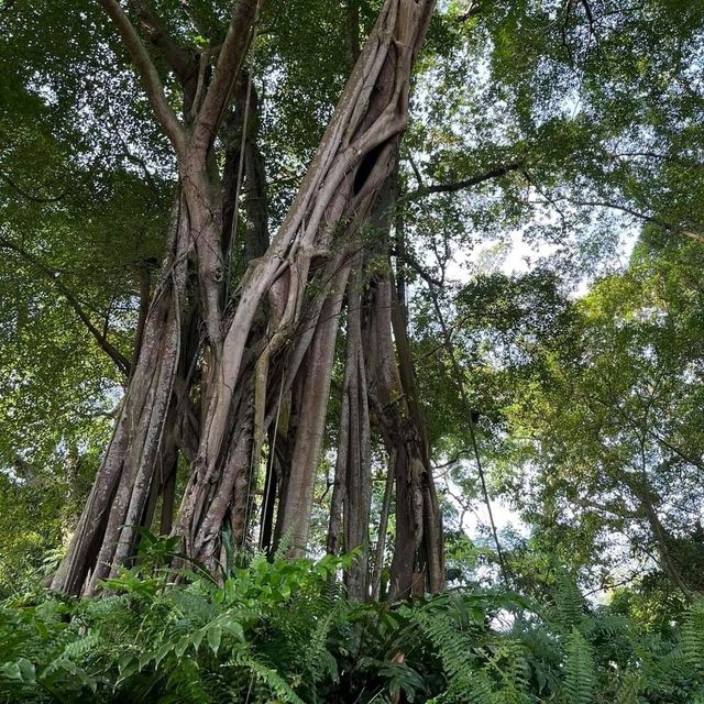Fort Canning Park