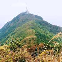 飛鵝山