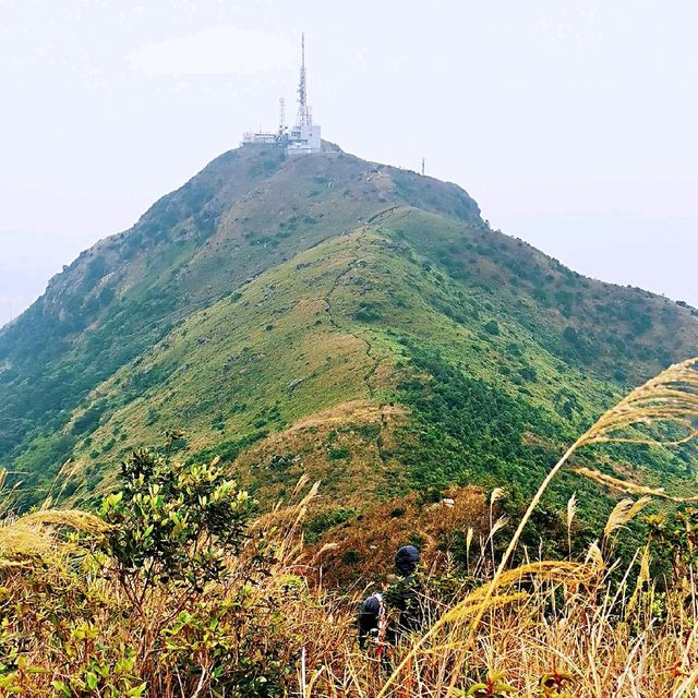 飛鵝山