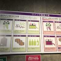 【山梨】180種類のワインが試飲できる「ぶどうの丘」