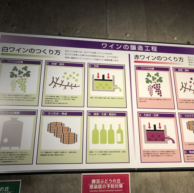【山梨】180種類のワインが試飲できる「ぶどうの丘」