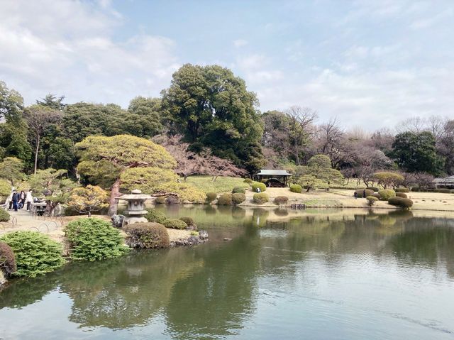 【新宿】都心の緑地　新宿御苑