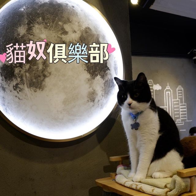 貓🐱奴俱樂部 