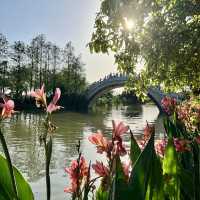 Spring vibes at Haizhu Wetland Park