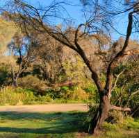 Soak in the sun and sea at Binalong Bay