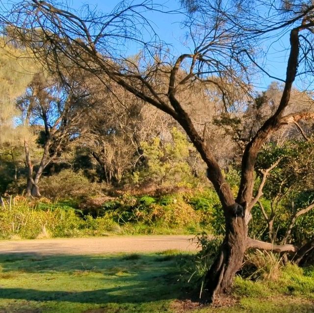 Soak in the sun and sea at Binalong Bay