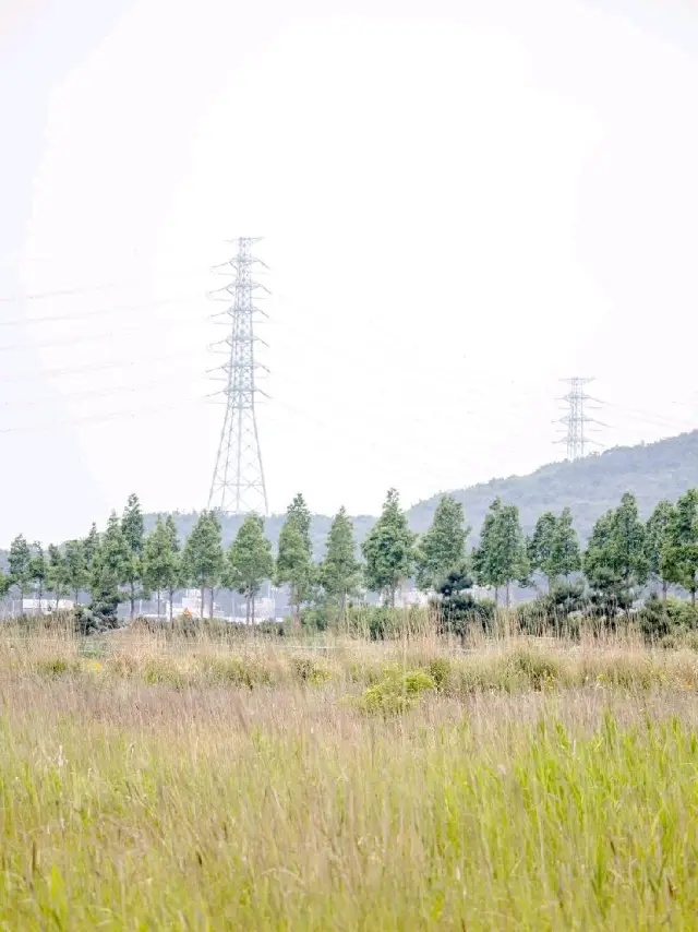 대부도 가볼만한 곳, 바다향기 테마파크