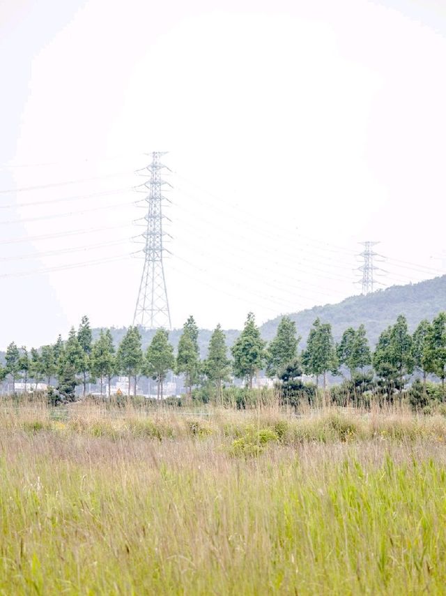 대부도 가볼만한 곳, 바다향기 테마파크