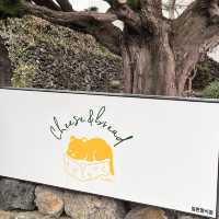 제주 함덕 소금빵 맛집, 치즈앤브레드