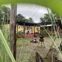 뭄바이 근교에서 만나는 인도 전통 “Monteria Vilage”⛺️