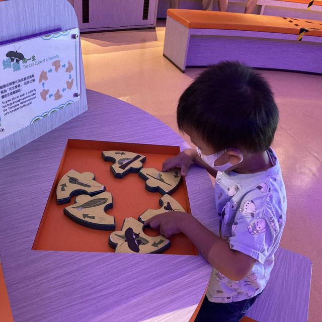 《親子活動～暢遊天水圍濕地公園》