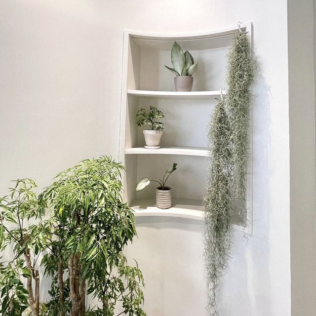 天后人氣café  天后人氣café