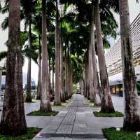 A Scenic Morning Walk/Jog At Marina Bay