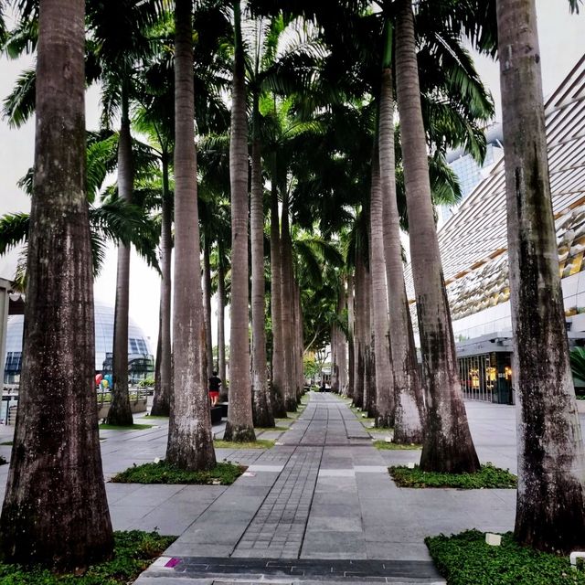 A Scenic Morning Walk/Jog At Marina Bay