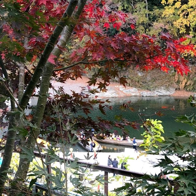 Nagatoro Fall Foliage