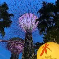 Why not Singapore?!