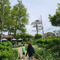 데이지와 함께하는 커피 피크닉🌼