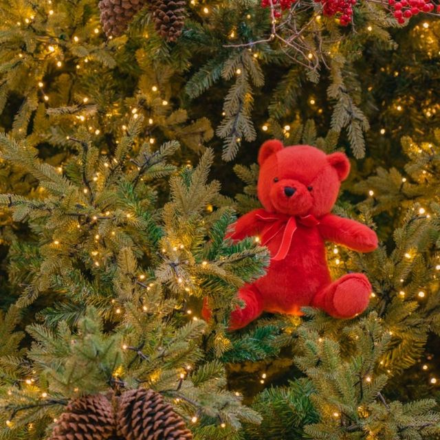🎄크리스마스 요정들이 살것같은 [서울, 더현대 H빌리지]