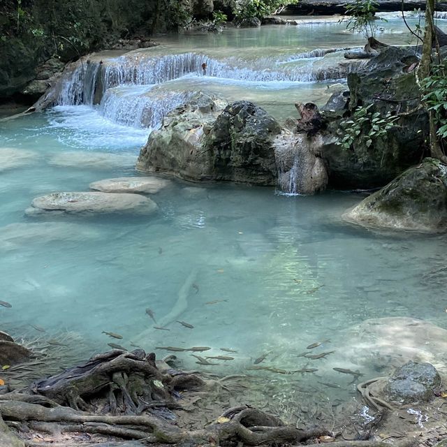 Wild Wild Wet @ Erawan Falls