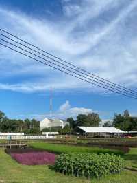 งานเกษตรภาคเหนือ ประจำปี 2565 ที่ไร่แม่เหียะ