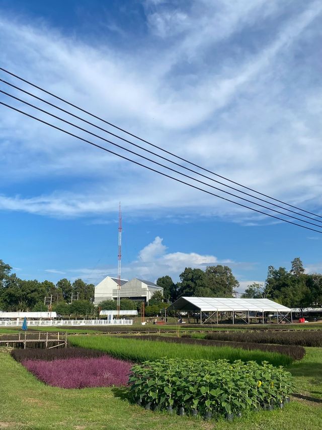 งานเกษตรภาคเหนือ ประจำปี 2565 ที่ไร่แม่เหียะ