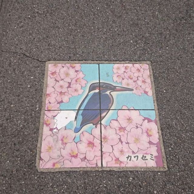 最浪漫既雨～山崎川四季の道櫻花雨