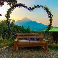 Jungle cafe Trawas