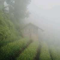 Majalengka, Indonesia