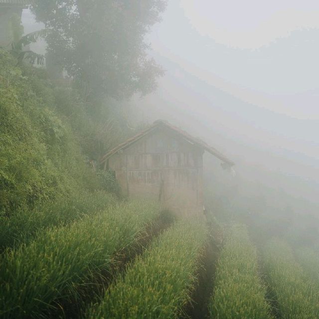 Majalengka, Indonesia
