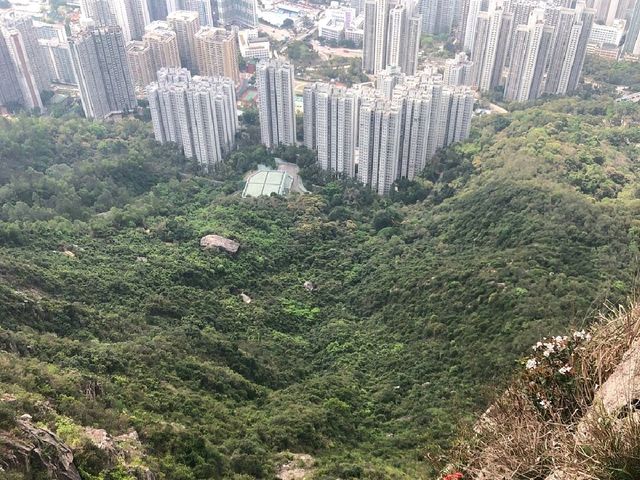 Lion Rock Country Park. 