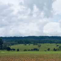 ลานกางเต็นท์หลักสิบ วิวระดับล้าน