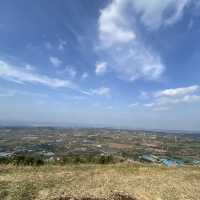 제주ㅣ반려동반 가능한 제주도 오름 추천, 금오름🏔