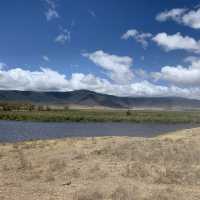 Wildlifes at their best, Ngorongoro