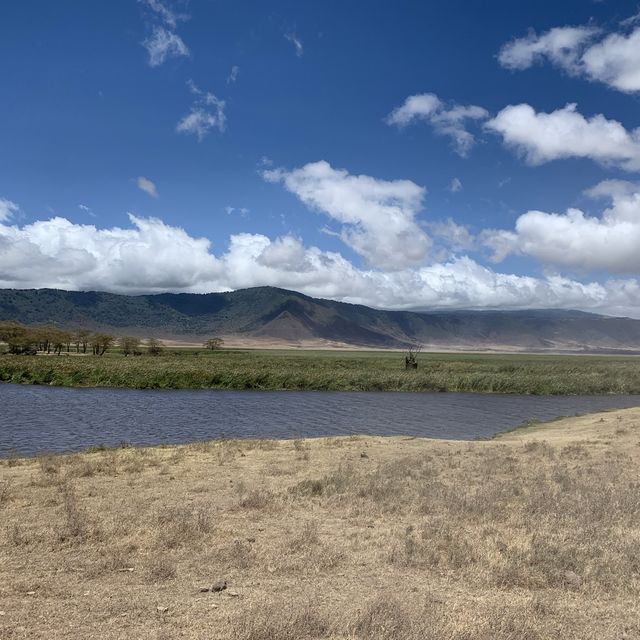 Wildlifes at their best, Ngorongoro