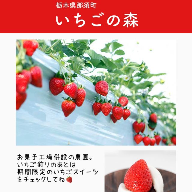 関東のいちご狩りスポットまとめ6選