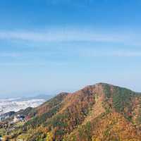 무등산에서 리프트&모노레일 즐기기