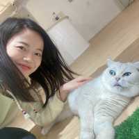 🐱喵喵喵 🐱我番來探主子啦！