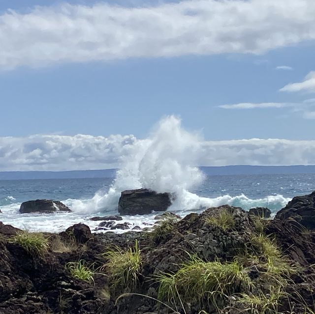 【屋久島】田代海岸