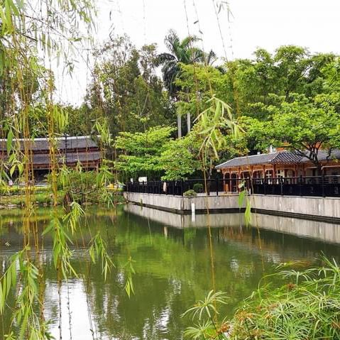 北區公園都可以影得好靚