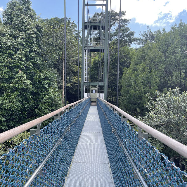MacRitchie Reservoir and TreeTop Walk! 🌴🍃☀️