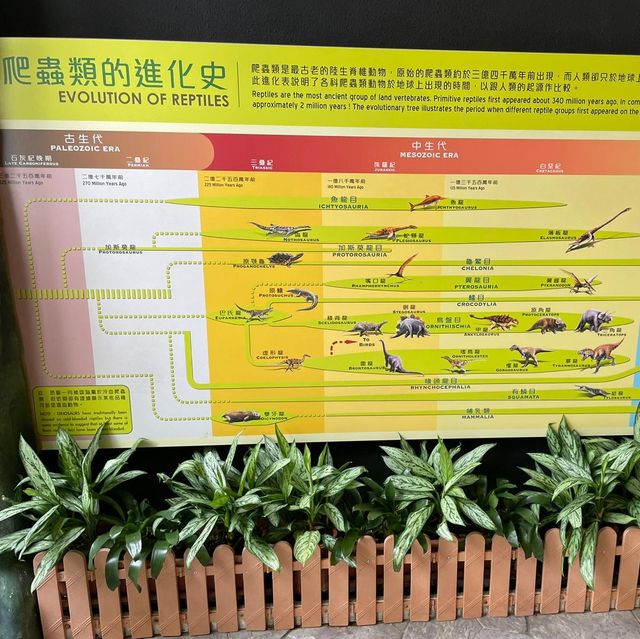 屯門公園-爬蟲館