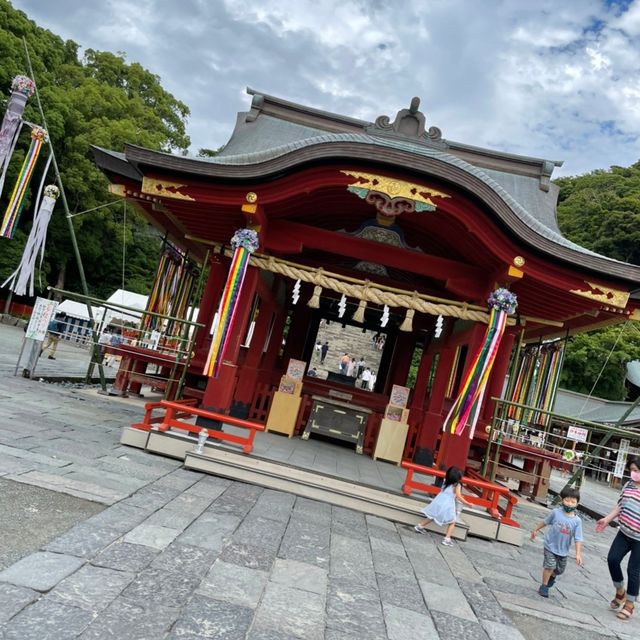 6月は紫陽花が見頃の鶴岡八幡宮