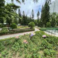 賞花好地方「蝴蝶灣公園」