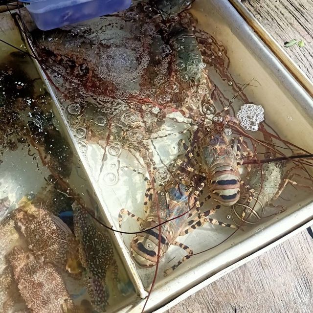 ชมวิวหาดราไวย์