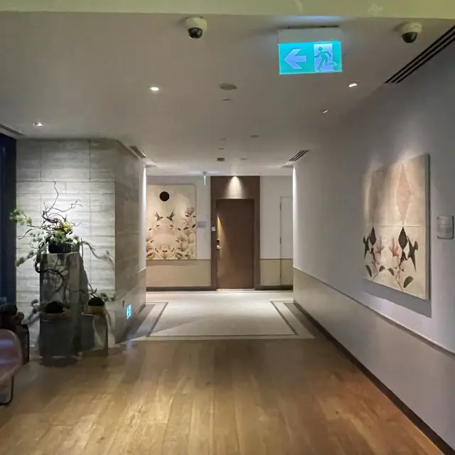 Discovering Arts 