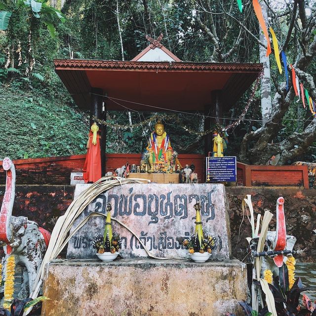 นั่งรถไฟชั้น3 ไปเดินป่า “ดอยขุนตาล” นั่งรถไฟชั้น3 ไปเดินป่า “ดอยขุนตาล”